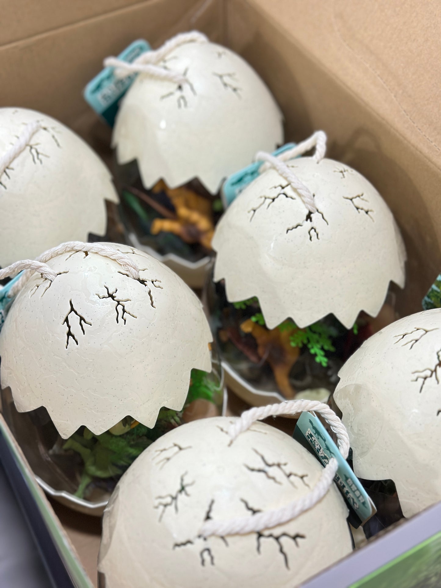 Animal & Dino Surprise Egg Sets — Available in 3 Sizes & 5 Designs