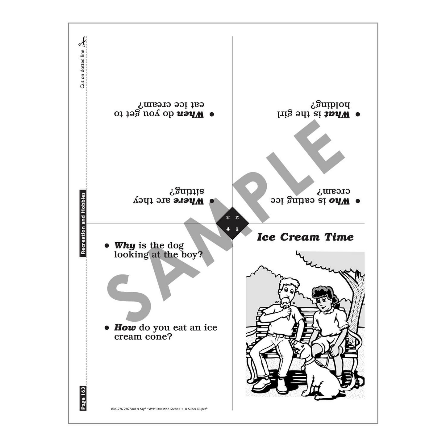 216 Fold & Say WH Question Scenes