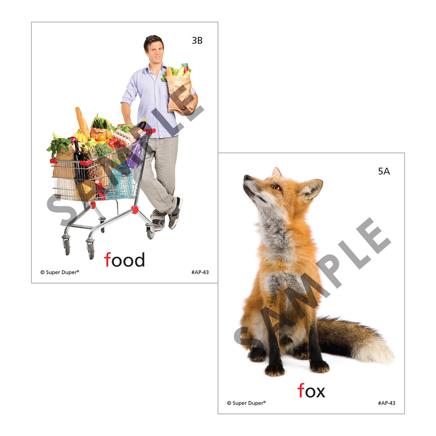 Artic Photos Fun Decks - Bundle 2