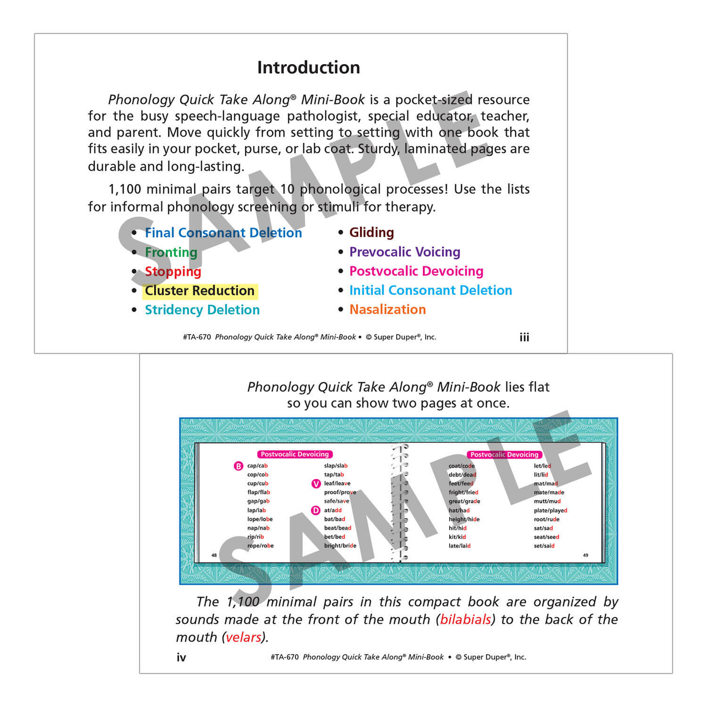 Phonology Quick Take Along
