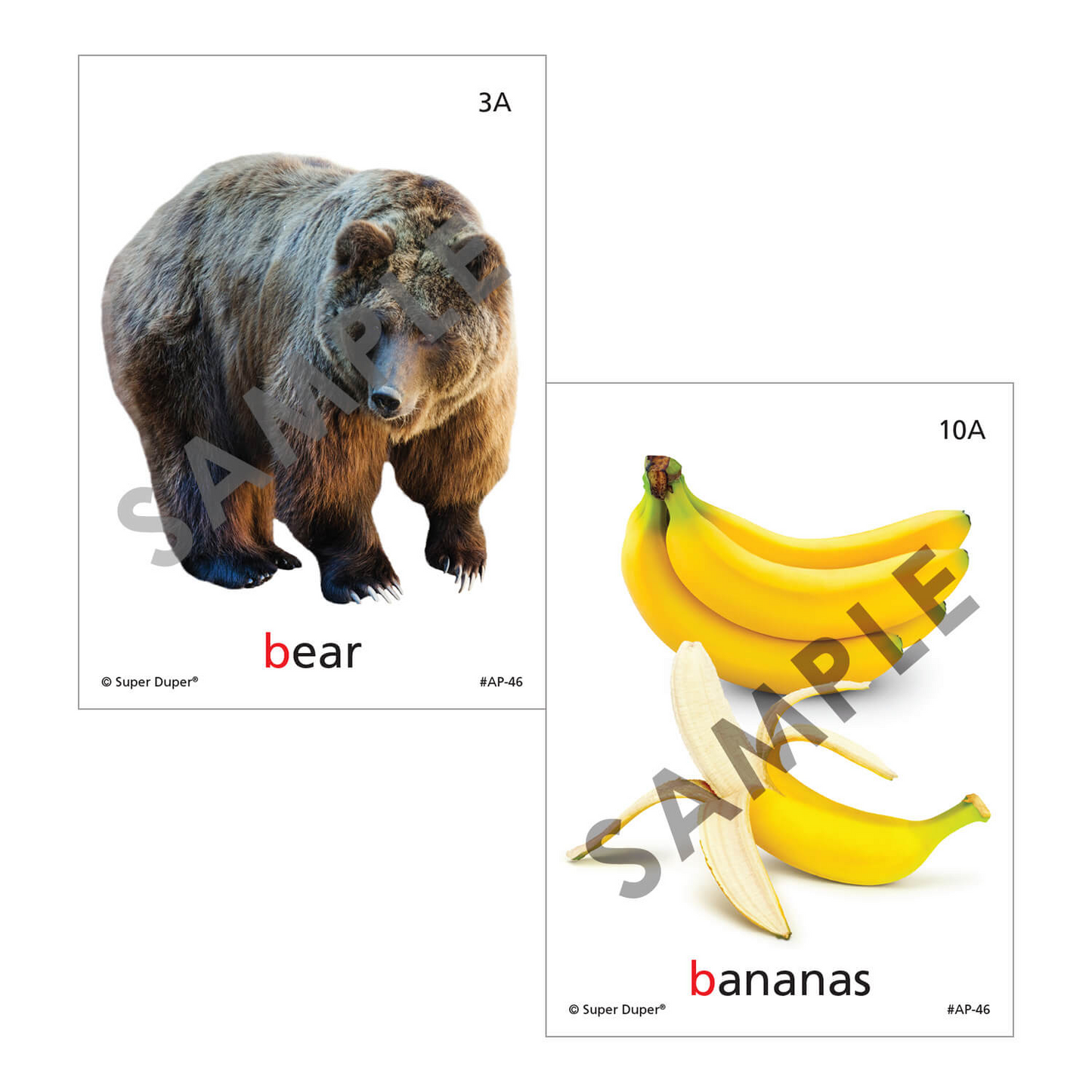 Artic Photos Fun Decks - Bundle 2