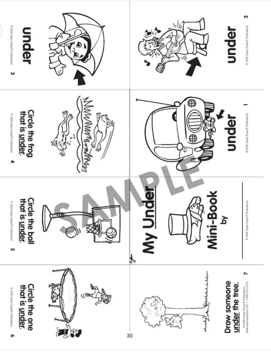 Fold and Say Basic Concepts Mini Book
