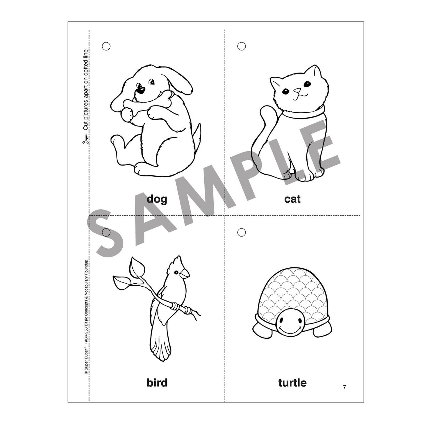 Basic Concept and Vocabulary Roundup