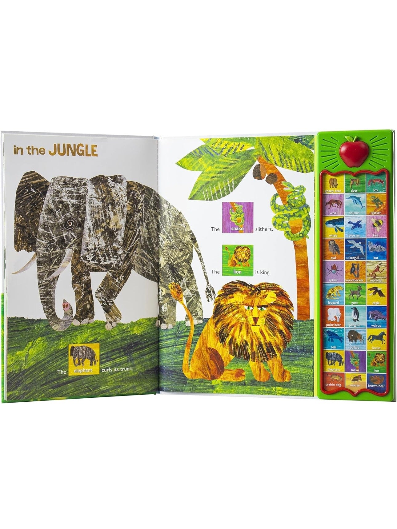 Hear Bear Roar - World of Eric Carle