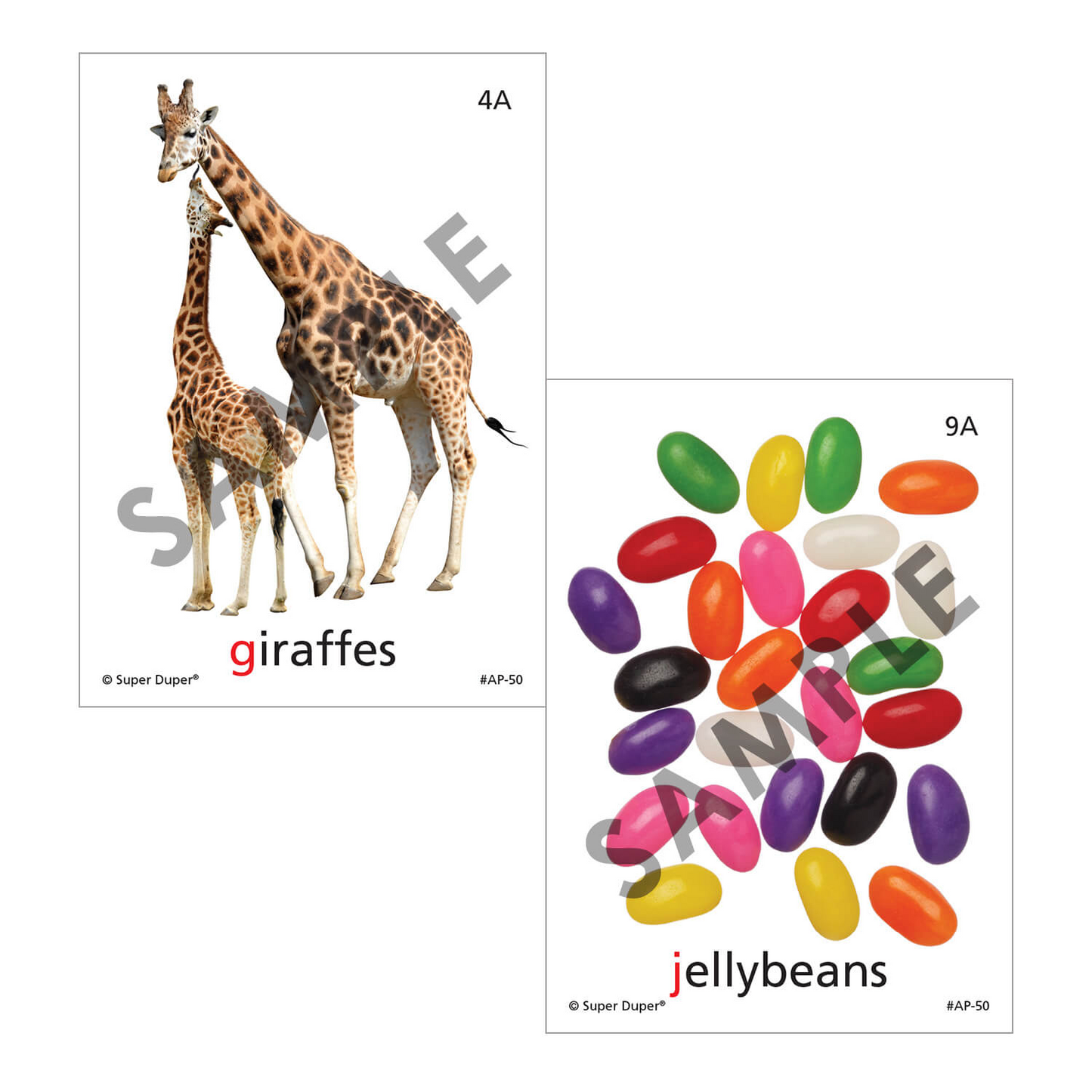 Artic Photos Fun Decks - Bundle 2
