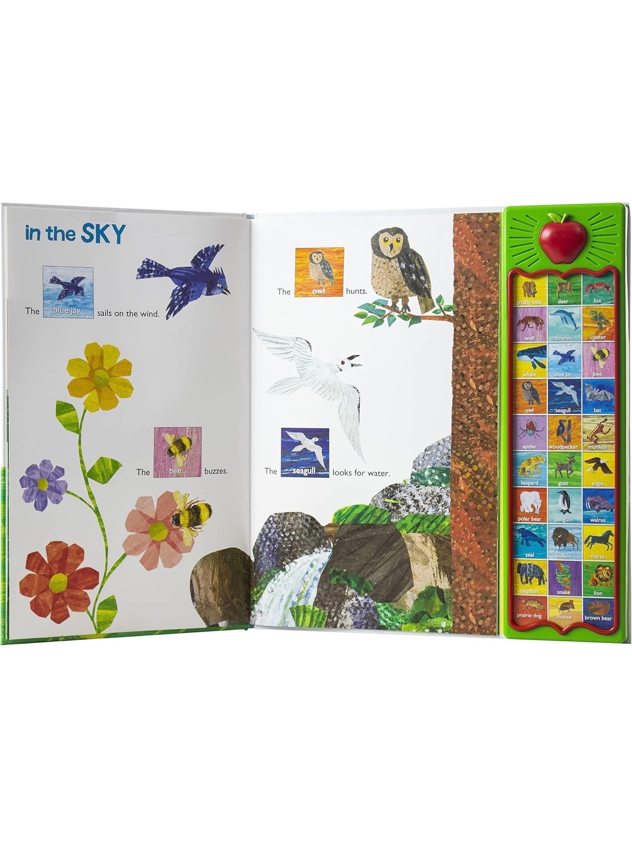 Hear Bear Roar - World of Eric Carle