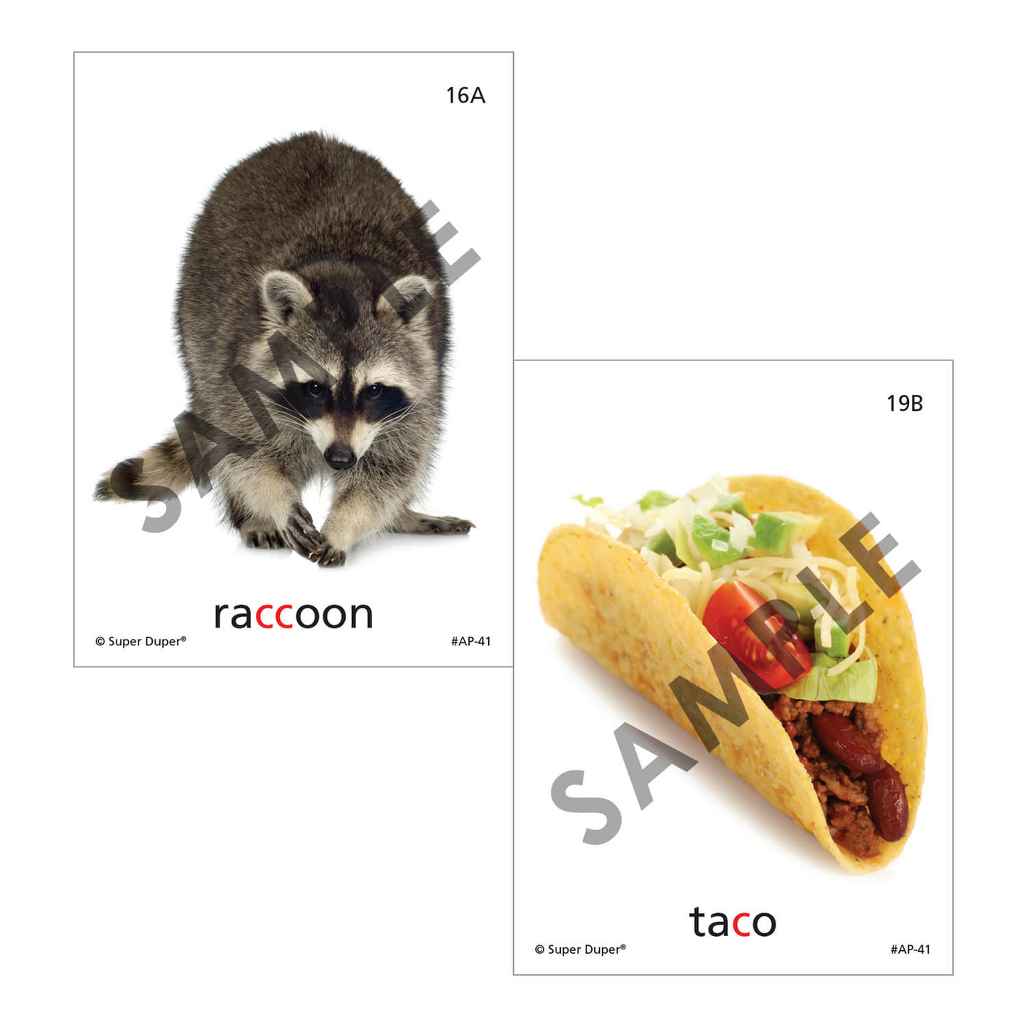 Artic Photos Fun Decks - Bundle 2