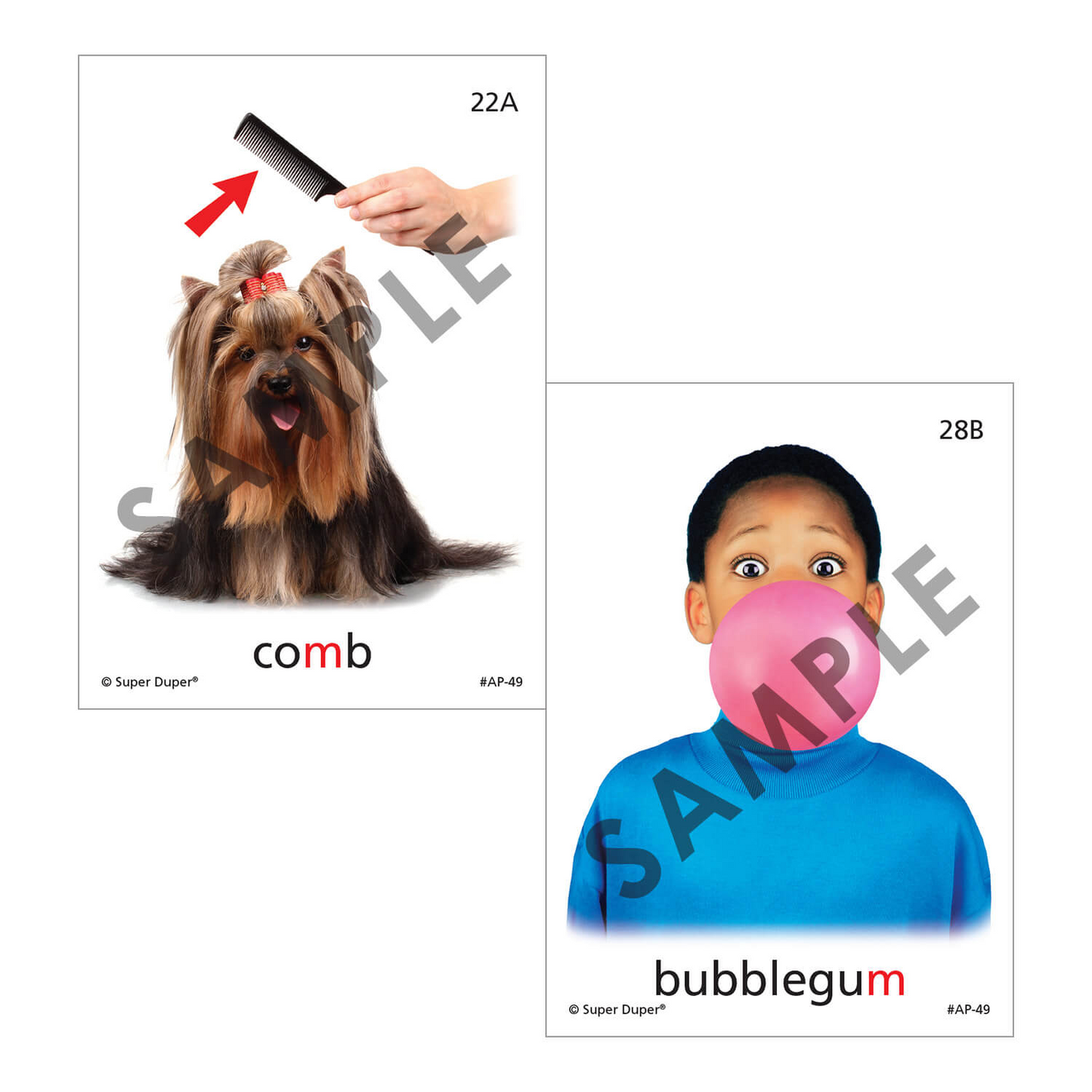 Artic Photos Fun Decks - Bundle 2