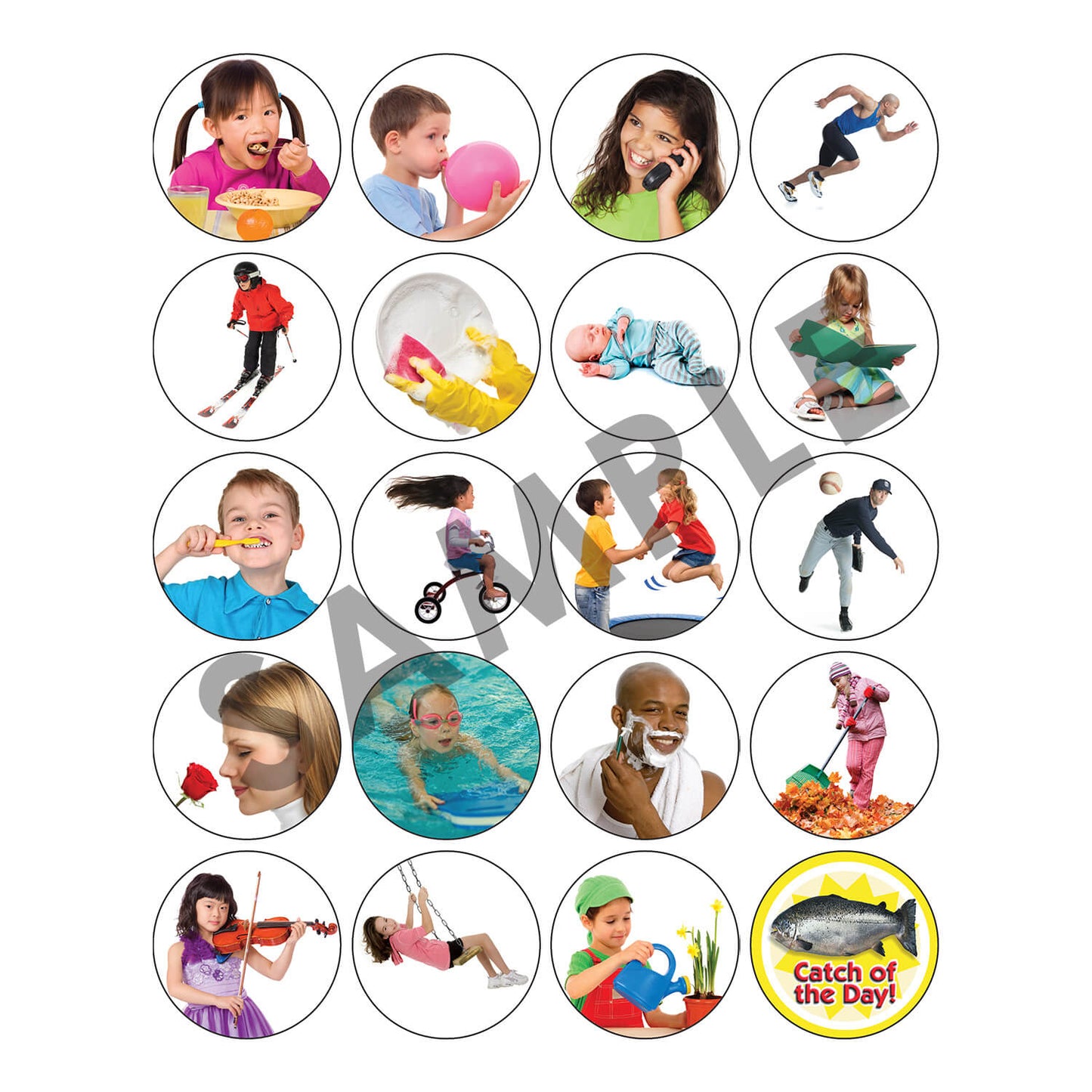 Verbs Photo Fish