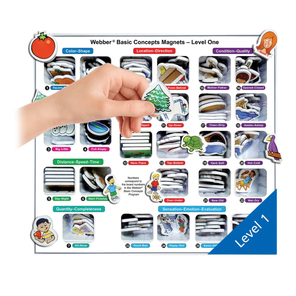 Webber Basic Concepts MagneFoam Magnets - Level One