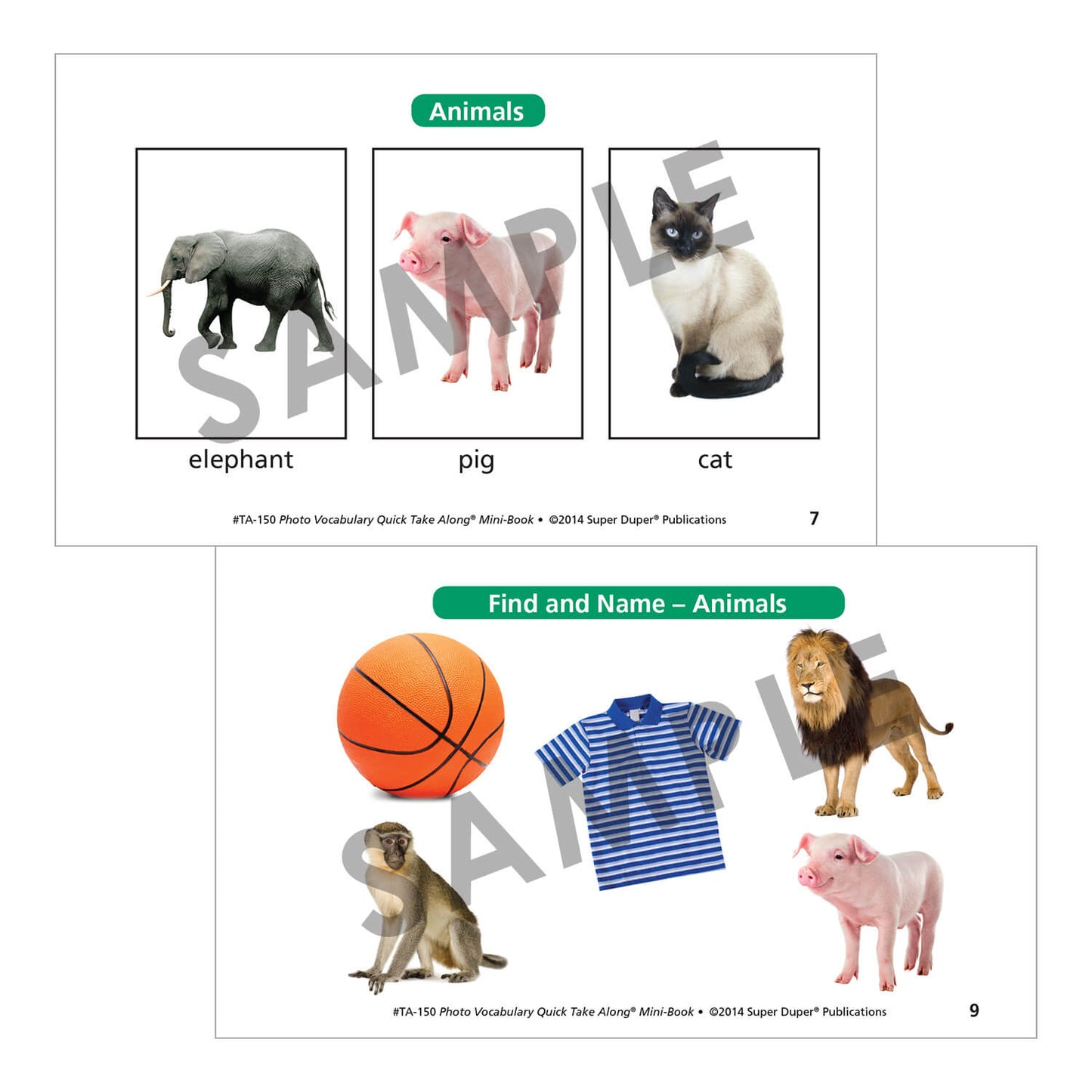 Photo Vocabulary Quick Take Along