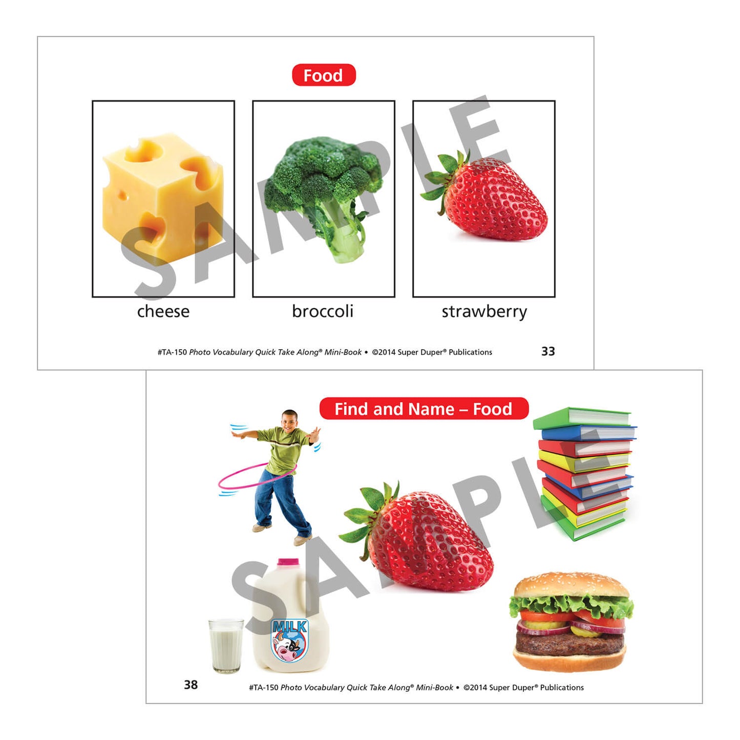 Photo Vocabulary Quick Take Along