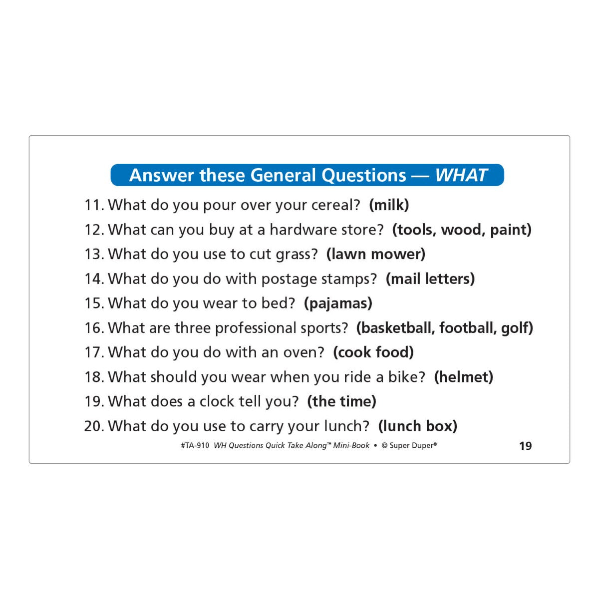 WH Questions Quick Take Along