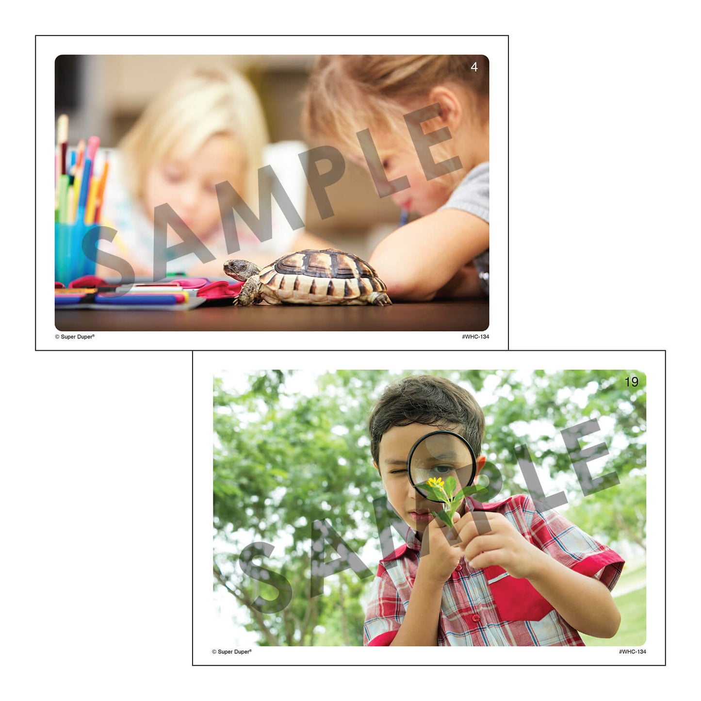 Webber Photo Cards - Story Starters