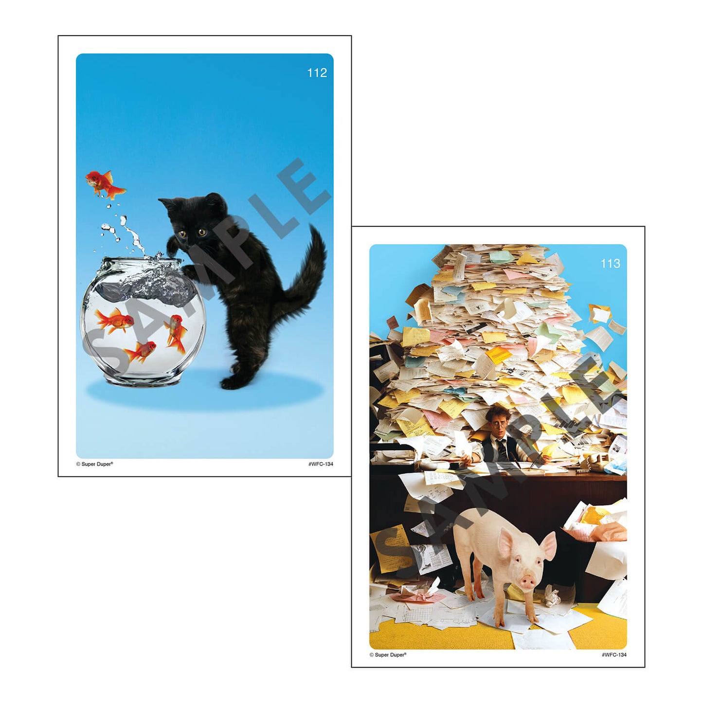 Webber Photo Cards - Story Starters