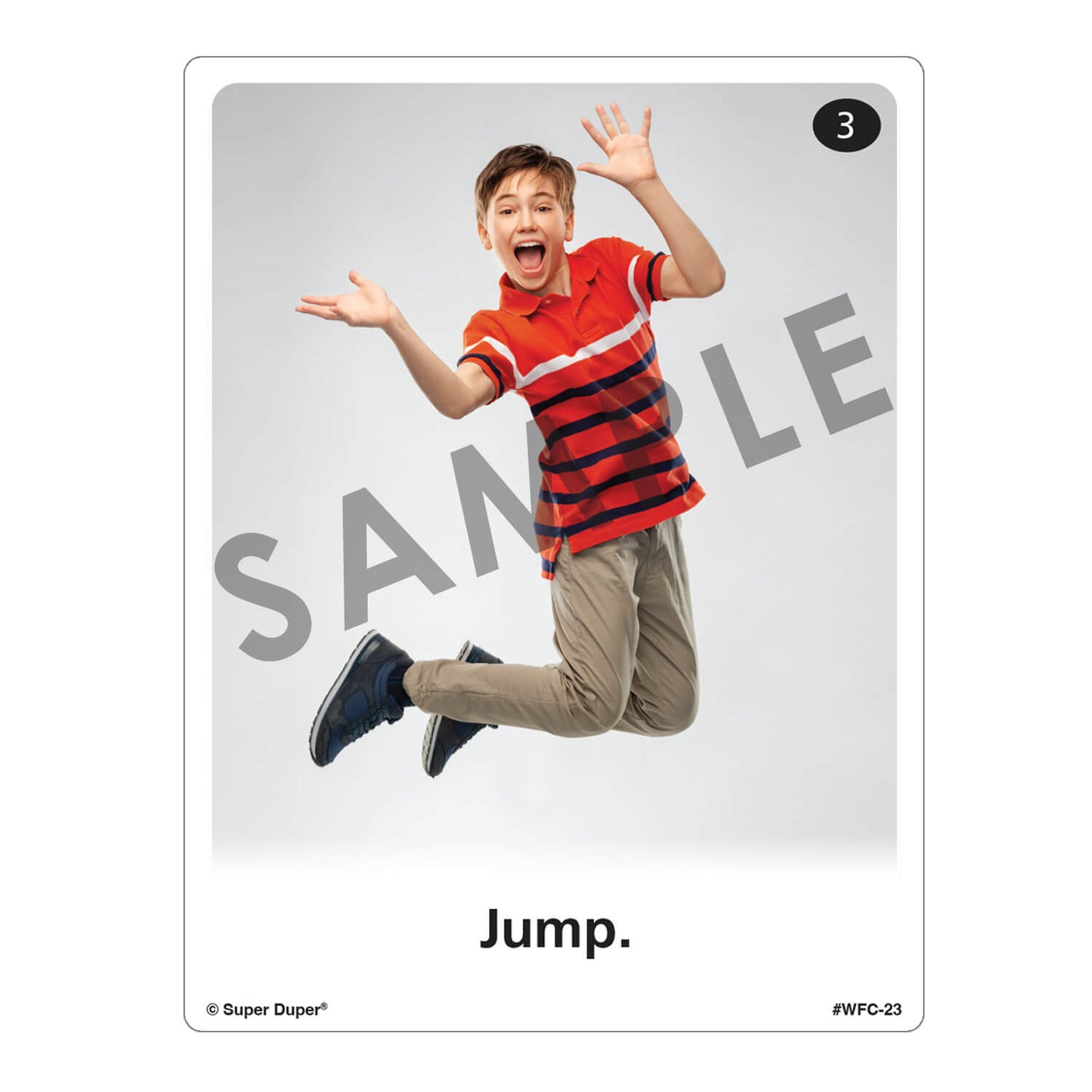 Webber Photo Cards - Following Directions