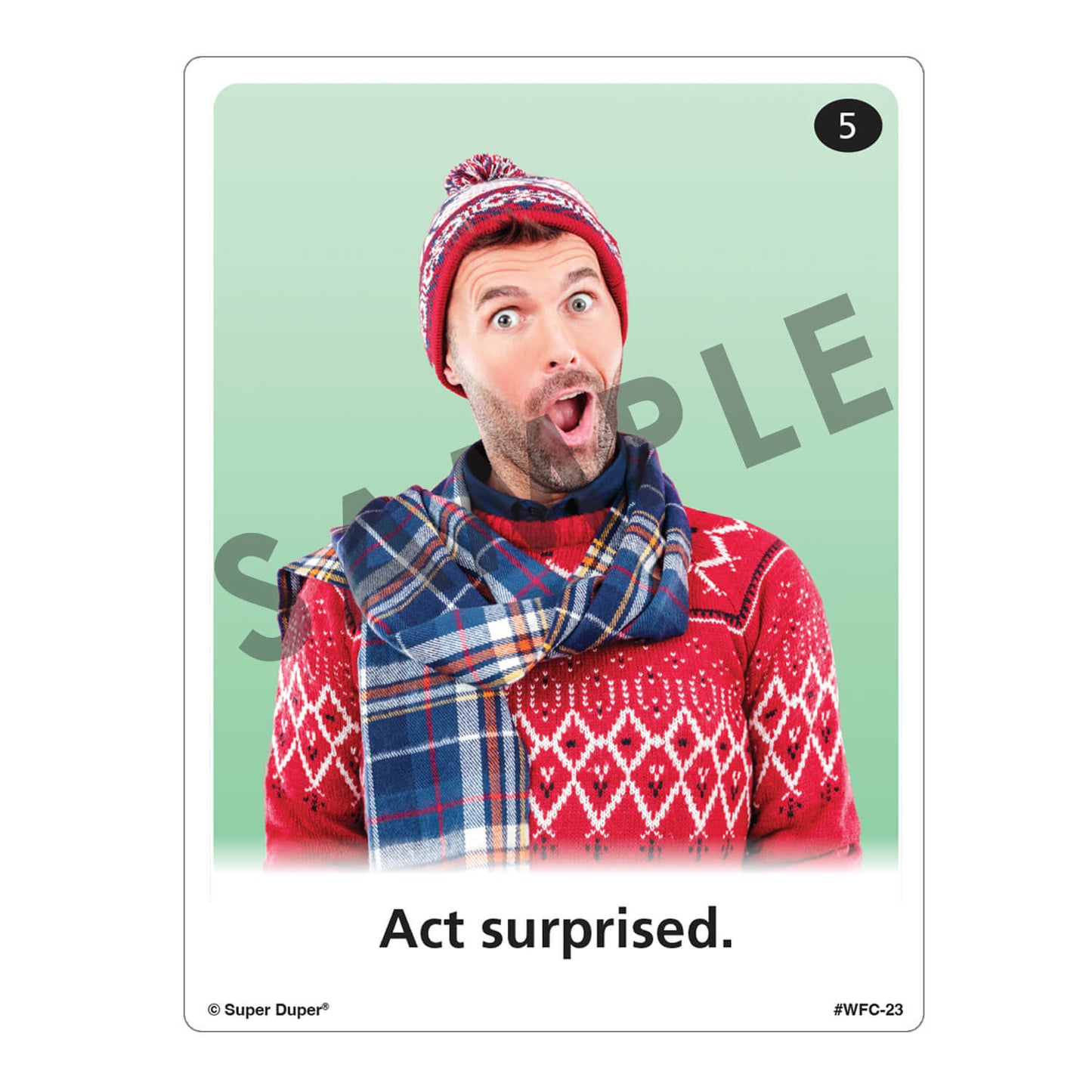 Webber Photo Cards - Following Directions
