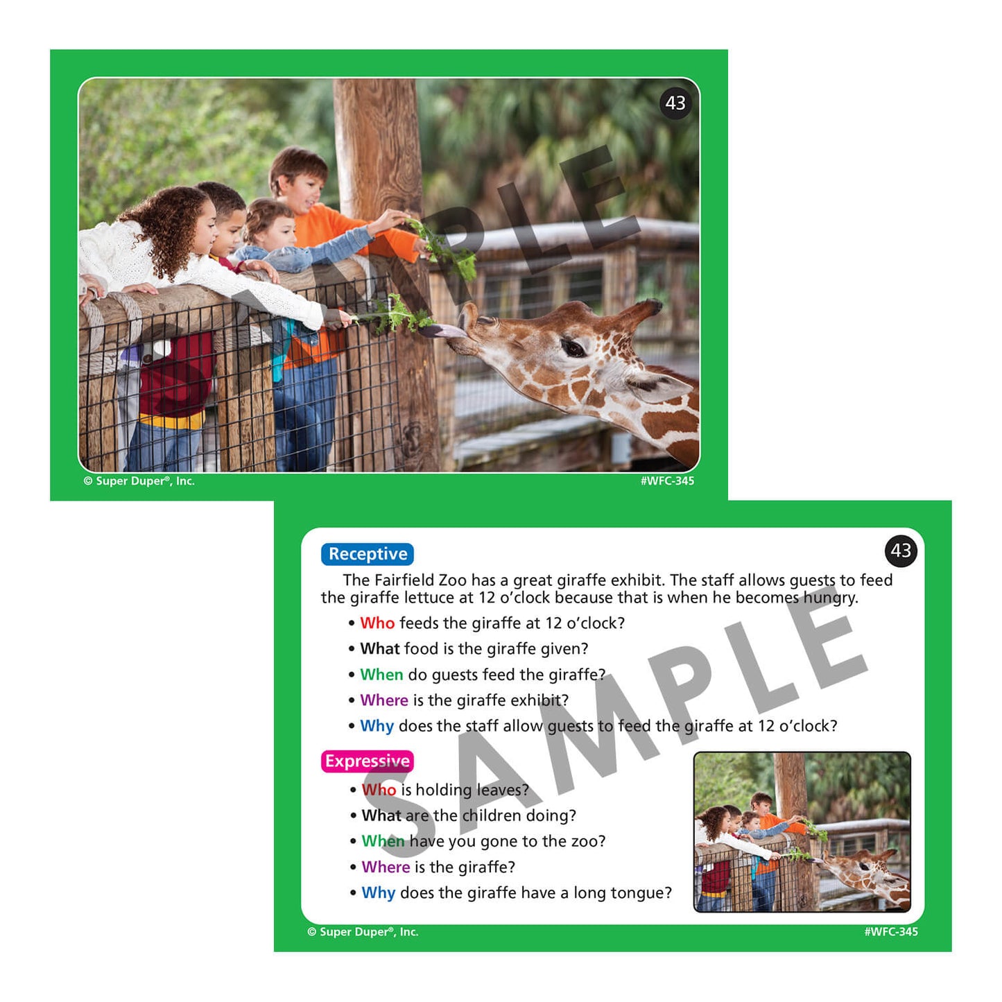 Webber Photo Cards - WH Questions