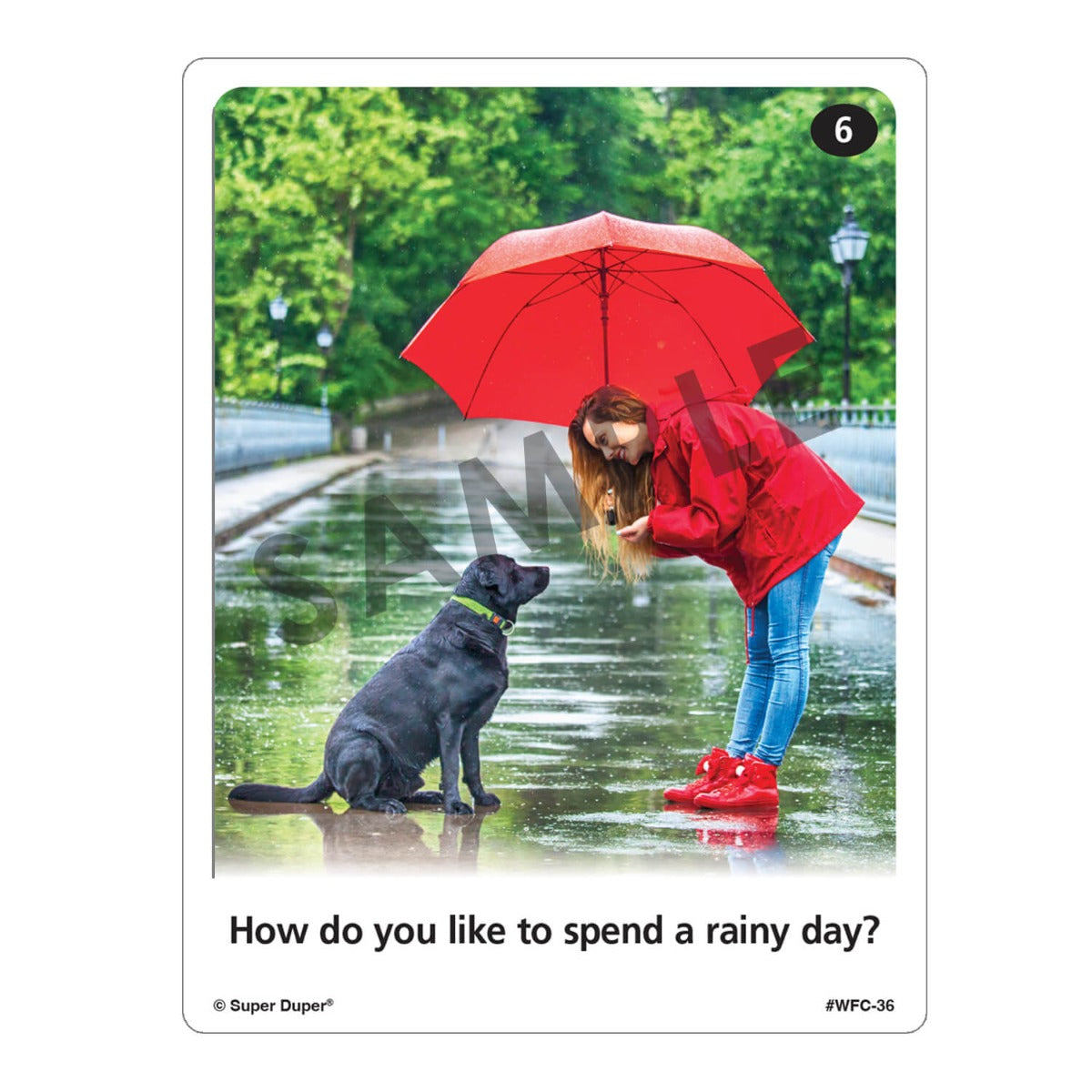 Webber Photo Cards - Getting To Know You