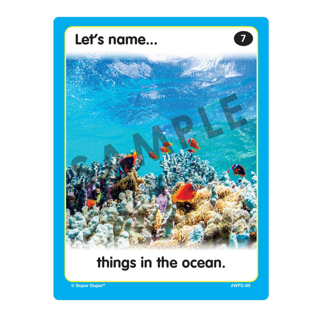 Webber Photo Cards - Let's Name Things