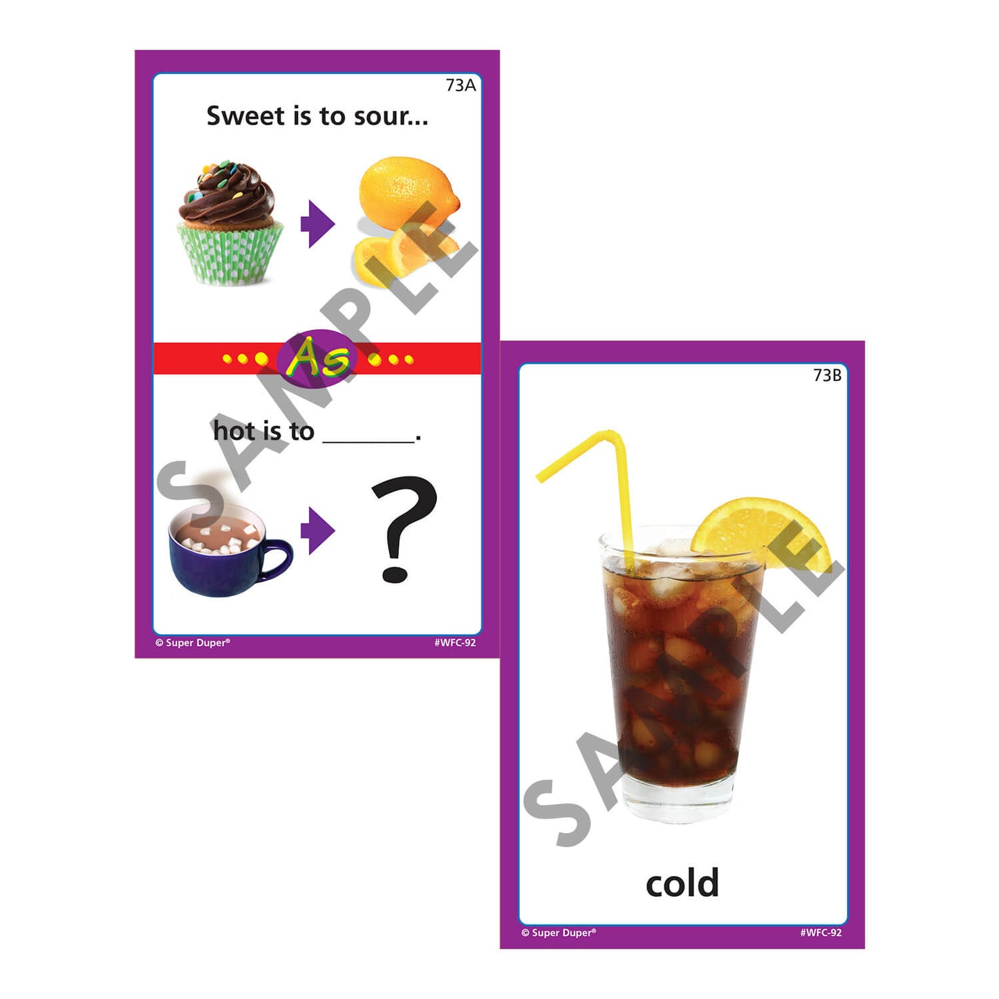 Webber Photo Analogies Cards
