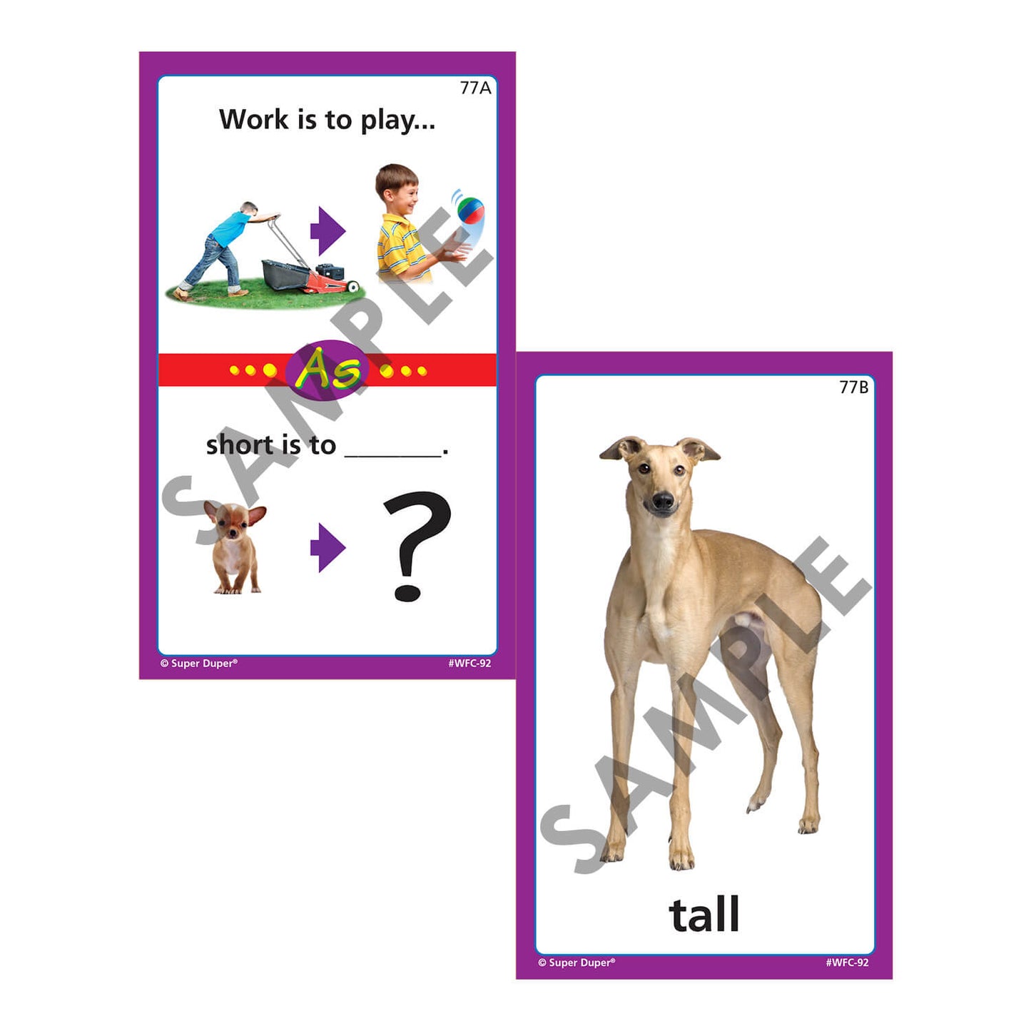 Webber Photo Analogies Cards