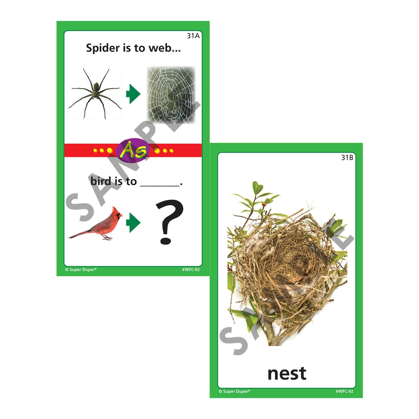 Webber Photo Analogies Cards
