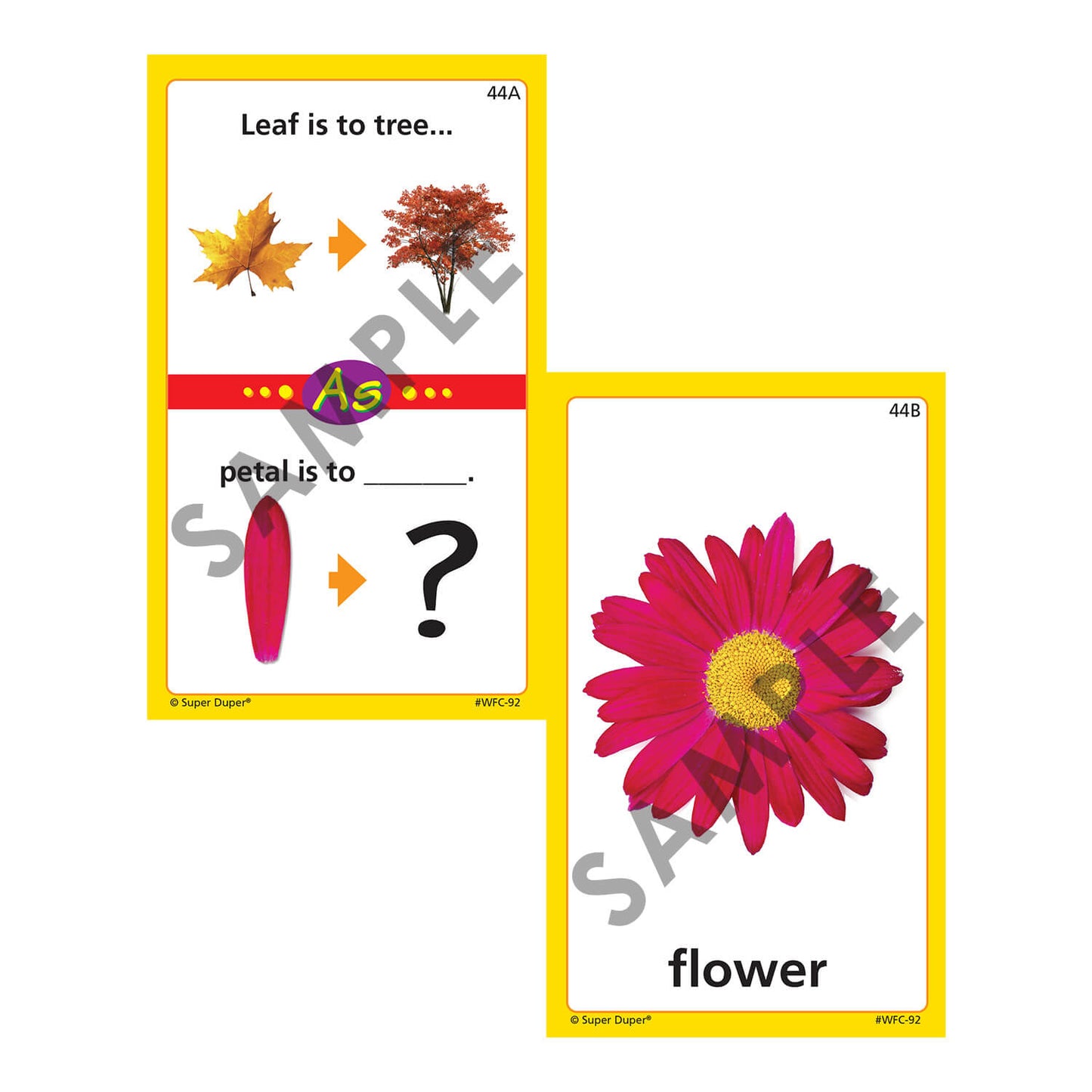 Webber Photo Analogies Cards