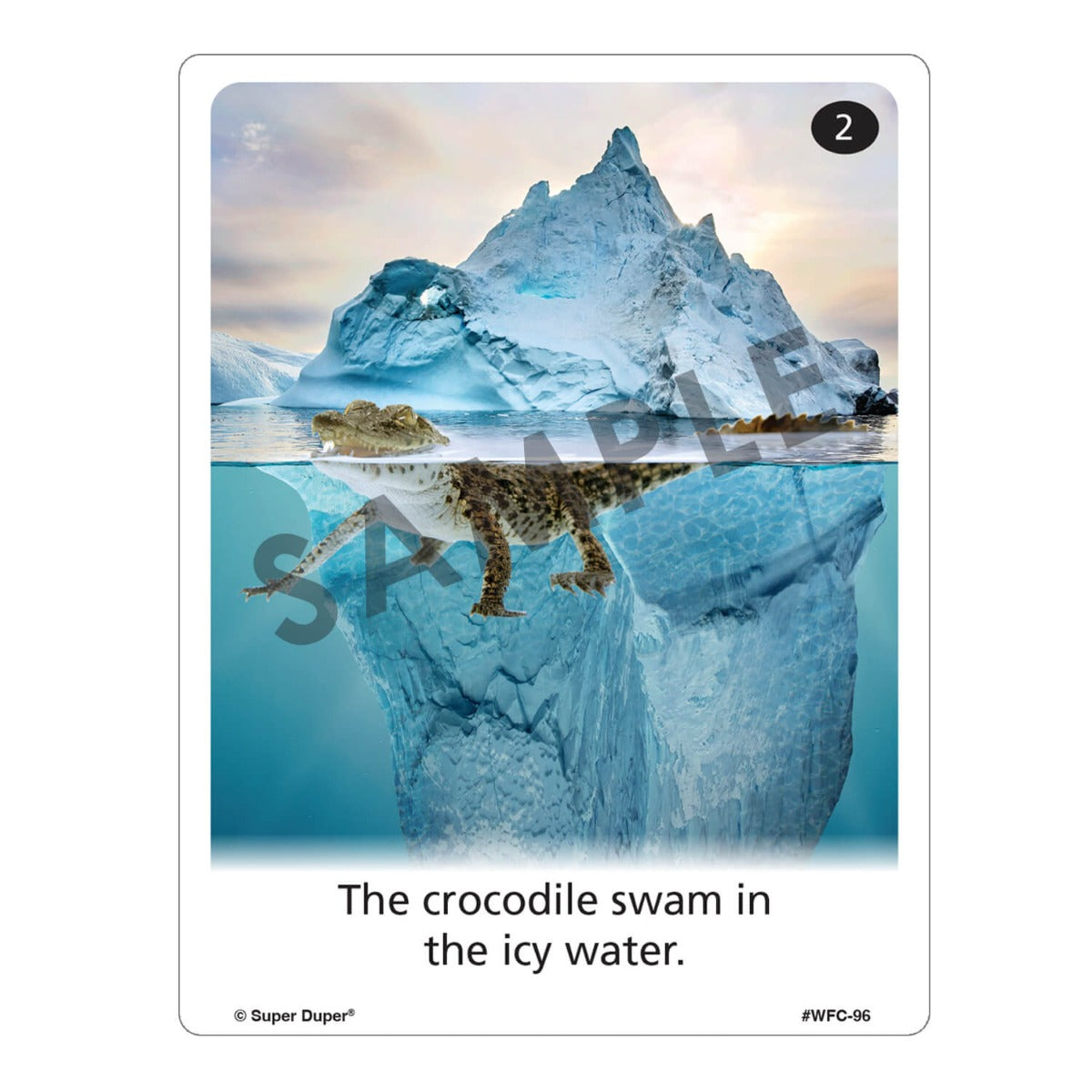 Webber Photo Cards - Super Silly