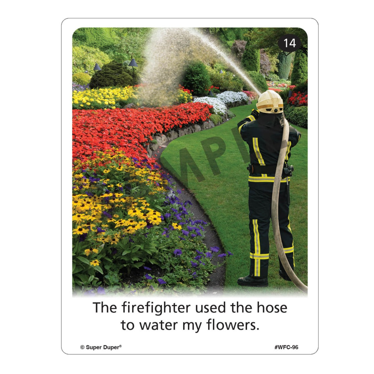 Webber Photo Cards - Super Silly